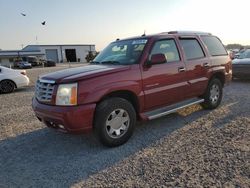 Cadillac Escalade salvage cars for sale: 2005 Cadillac Escalade Luxury