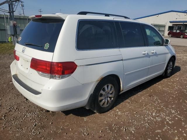 2010 Honda Odyssey EXL