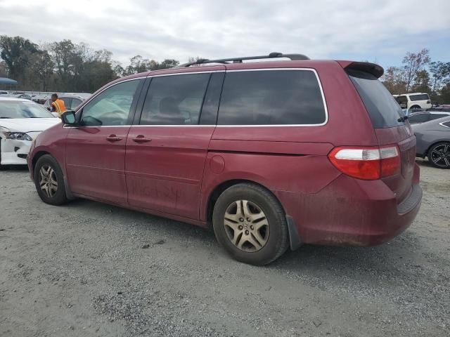 2005 Honda Odyssey EXL