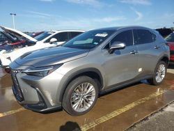 Run And Drives Cars for sale at auction: 2023 Lexus NX 350