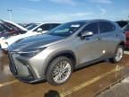 2023 Lexus NX 350