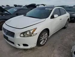 Nissan salvage cars for sale: 2010 Nissan Maxima S