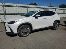 Salvage cars for sale at auction: 2022 Lexus NX 350