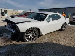 Dodge salvage cars for sale: 2023 Dodge Challenger GT