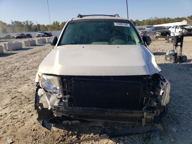 2009 Ford Escape XLT