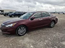 Honda Vehiculos salvage en venta: 2011 Honda Accord EXL