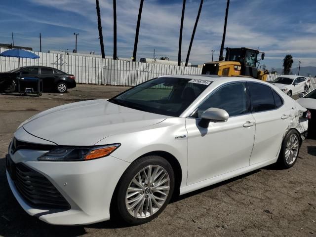 2019 Toyota Camry Hybrid