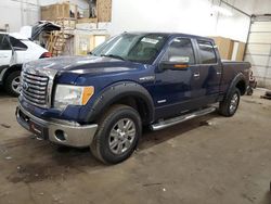 2011 Ford F150 Supercrew en venta en Ham Lake, MN