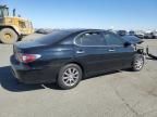 2004 Lexus ES 330