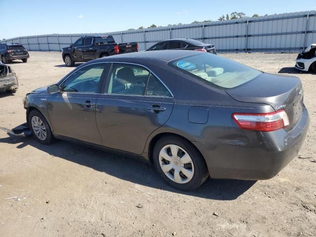 2009 Toyota Camry Hybrid