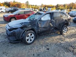 Salvage cars for sale at Candia, NH auction: 2019 Toyota Rav4 XLE