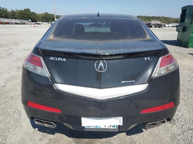 2010 Acura TL