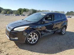 2013 Ford Escape SEL en venta en Conway, AR