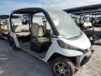 2023 Clubcar Golf Cart