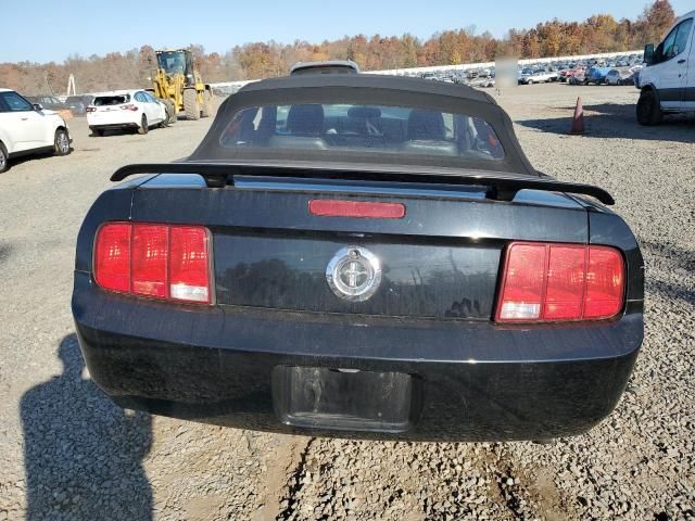 2005 Ford Mustang