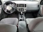 2005 Ford Escape XLT