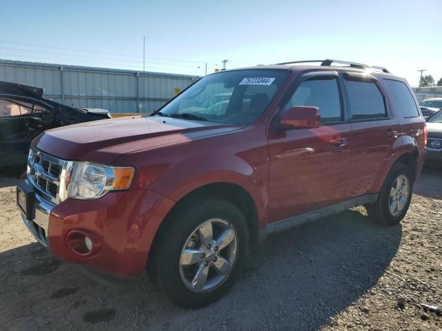 2010 Ford Escape Limited