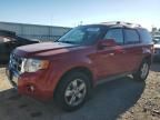 2010 Ford Escape Limited