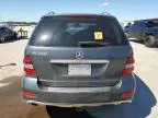 2010 Mercedes-Benz ML 350