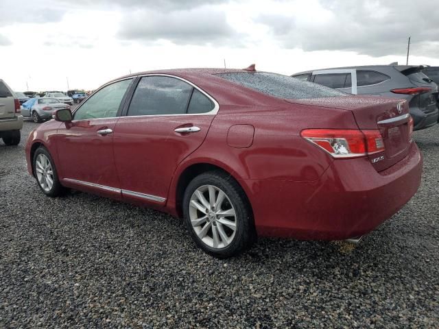 2010 Lexus ES 350