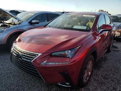 Lexus salvage cars for sale: 2020 Lexus NX 300 Base