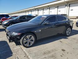 2020 Jaguar XE S en venta en Louisville, KY