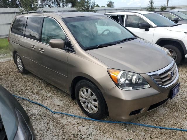 2009 Honda Odyssey EXL