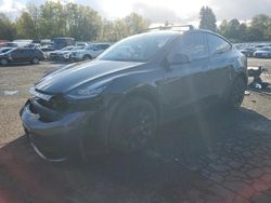 Salvage cars for sale from Copart Portland, OR: 2023 Tesla Model Y