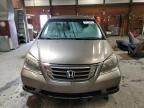 2009 Honda Odyssey EX