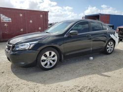 Salvage cars for sale at Arcadia, FL auction: 2010 Honda Accord EXL