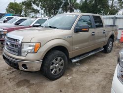 Salvage cars for sale at Riverview, FL auction: 2014 Ford F150 Supercrew