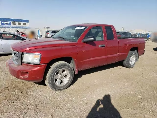 2008 Dodge Dakota SLT