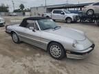 1990 Alfa Romeo Spider Quadrifoglio