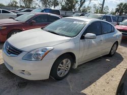 Salvage cars for sale at Riverview, FL auction: 2010 Nissan Altima Base