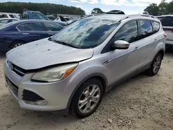 Vehiculos salvage en venta de Copart Hampton, VA: 2014 Ford Escape Titanium