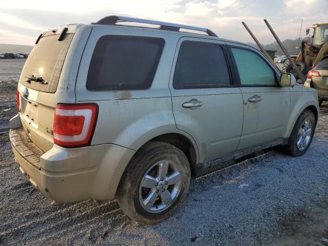 2011 Ford Escape Limited