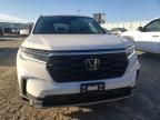 2024 Honda Pilot EXL