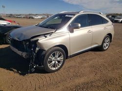 Salvage cars for sale at Elgin, IL auction: 2013 Lexus RX 350 Base