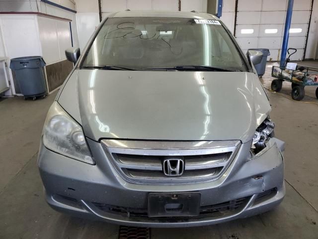 2005 Honda Odyssey EXL