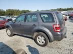 2012 Ford Escape XLS