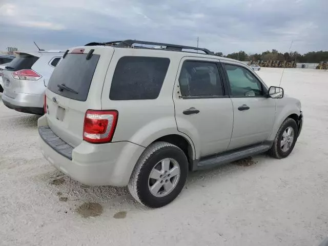 2009 Ford Escape XLT