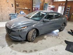 Salvage cars for sale at Ebensburg, PA auction: 2023 Hyundai Elantra SEL