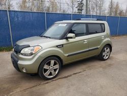 Vehiculos salvage en venta de Copart Moncton, NB: 2010 KIA Soul +