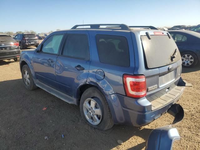 2010 Ford Escape XLT