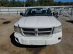 2011 Dodge Dakota SLT