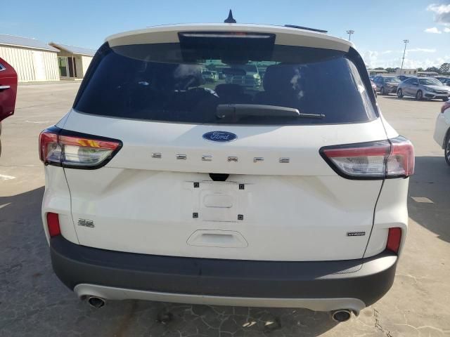 2020 Ford Escape SE Sport