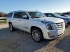 2016 Cadillac Escalade ESV Platinum