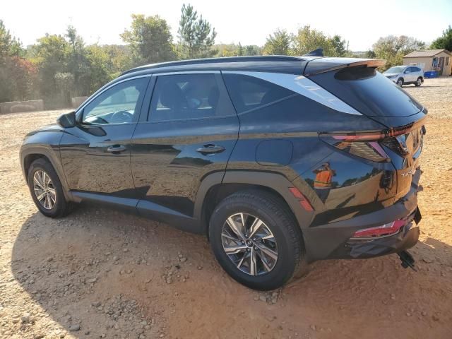 2023 Hyundai Tucson Blue