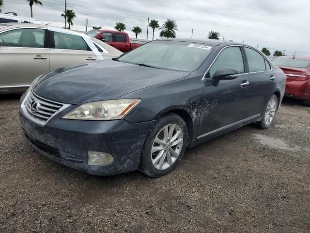 2010 Lexus ES 350