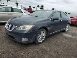 2010 Lexus ES 350 en venta en Arcadia, FL